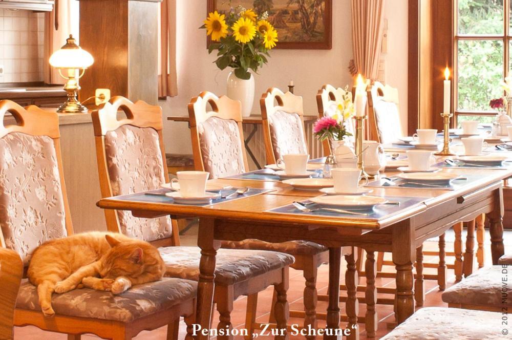 Pension Zur Scheune Plau am See Exterior photo